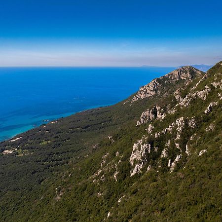 Artemis Prasoudi Beach Halikounas Zewnętrze zdjęcie